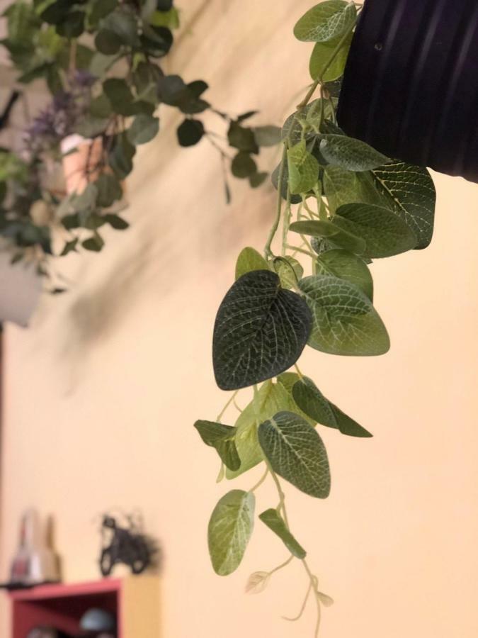 Dearhouse Leilighet Tainan Eksteriør bilde